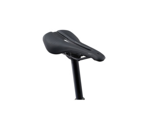 GIANT Anthem Advanced 29 2 Moonstone