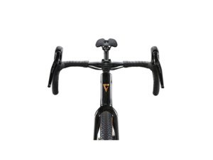 GIANT Revolt Advanced 3 Panther