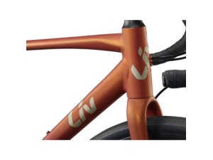 LIV Avail AR 2 Solar Flare