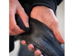 Čistič DYNAMIC Wipe Out 150ml