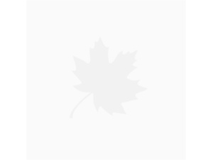 NORCO Novatec D462Sb Fh Body & Axle 916001-012