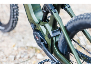 STEVENS E-Inception AM 7.8.1 GTF Forest Light