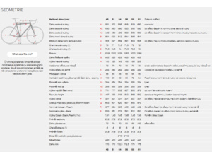 STEVENS Camino RS Forest Light