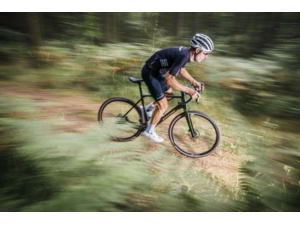 STEVENS Camino RS Forest Light