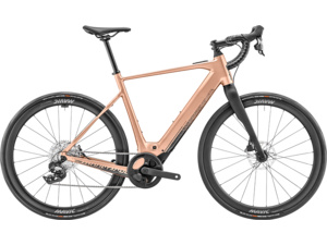 MOUSTACHE Samedi Dimanche 28.6 Light Copper