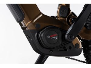 GHOST E-ASX Advanced Brown Bear/Stone Glossy