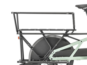 MOUSTACHE LUNDI 20 Cargo 1 Mint