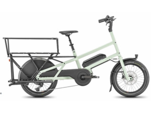 MOUSTACHE LUNDI 20 Cargo 1 Mint