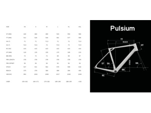 LAPIERRE Pulsium 6.0 AXS Graphite Grey Glossy