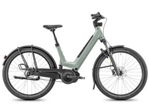 MOUSTACHE Mardi 27.4 FS Green Argile