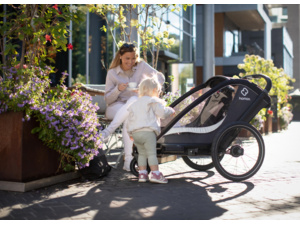 Dětský vozík HAMAX Cocoon Grey/Black