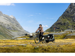 Dětský vozík HAMAX Outback Next Single Green/Black