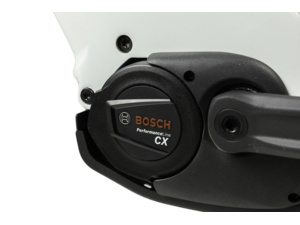 Thorr Bosch Lowstep Cream/red