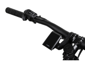 Thorr Bosch Lowstep EQ Cream/red