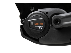 Thorr Bosch Lowstep EQ Night black/grey