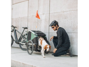 Vozík pro psy THULE Bexey L Hazy Green