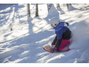 HAMAX Free Surfer Blue Monster