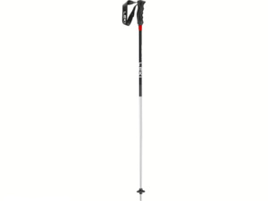 Hole LEKI High Performance Rental anodized silver-black