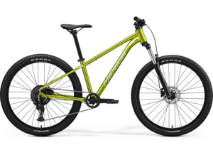 MERIDA Big.Seven 20 Fall Green (Silvergreen)