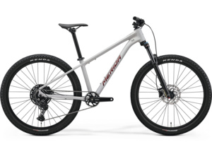 MERIDA Big.Seven 200 Matt Grey (Glitter Cherry)