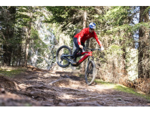 HAIBIKE AllMtn CF 9 Red/Black/Platinum Glossy