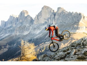 HAIBIKE AllMtn CF 9 Red/Black/Platinum Glossy