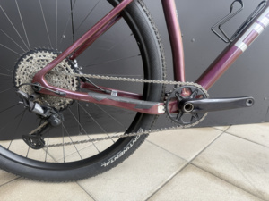 PELLS Duke 1 Eggplant - L