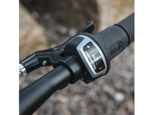 BREEZER Beltway 20 Blue Gray