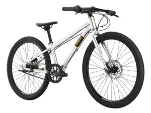 BREEZER Beltway 24 Silver