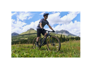 GIANT Talon 29 0 Ultra Navy