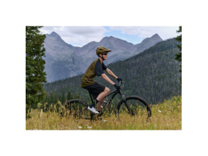 GIANT Talon 29 3 Frost Silver - M