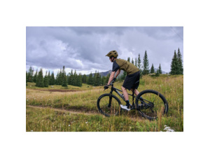 GIANT Talon 29 3 Frost Silver - M