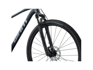 GIANT Roam 2 Asphalt Green