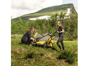 Thule Chariot Jog Kit 1 Double