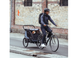 Sada pro přepravu psa Thule Courier