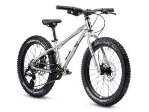 EARLY RIDER Seeker 20 Brushed