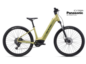 CTM Roxxy GX Matt Gold