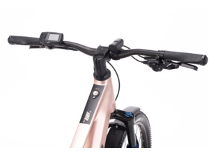 CTM Ruby GX Pro 29 E-Allroad Matt Old Pink