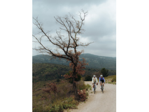 LOOK G85 Petrol/White Shimano GRX 1X12 Fulcrum Lite GR