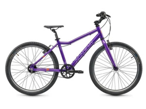 ACADEMY Grade 5 Belt 24 Nexus Purple