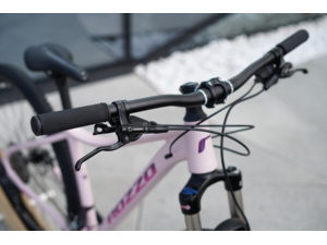 ROZZO Rose 40 Pink/Purple