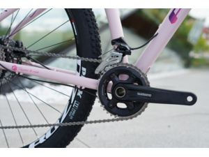 ROZZO Rose 40 Pink/Purple