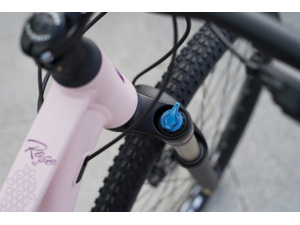 ROZZO Rose 40 Pink/Purple