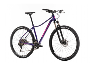 ROZZO Rose 40 Dark Purple/Brilliant Pink