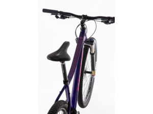 ROZZO Rose 40 Dark Purple/Brilliant Pink