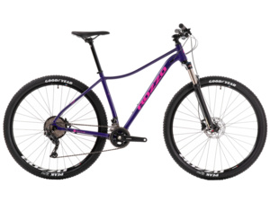 ROZZO Rose 40 Dark Purple/Brilliant Pink