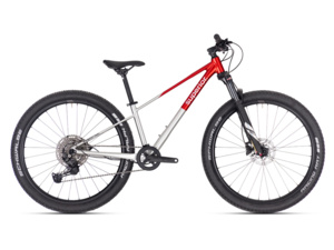 SUPERIOR TEAM 27.3 Gloss Brushed Alu/Red