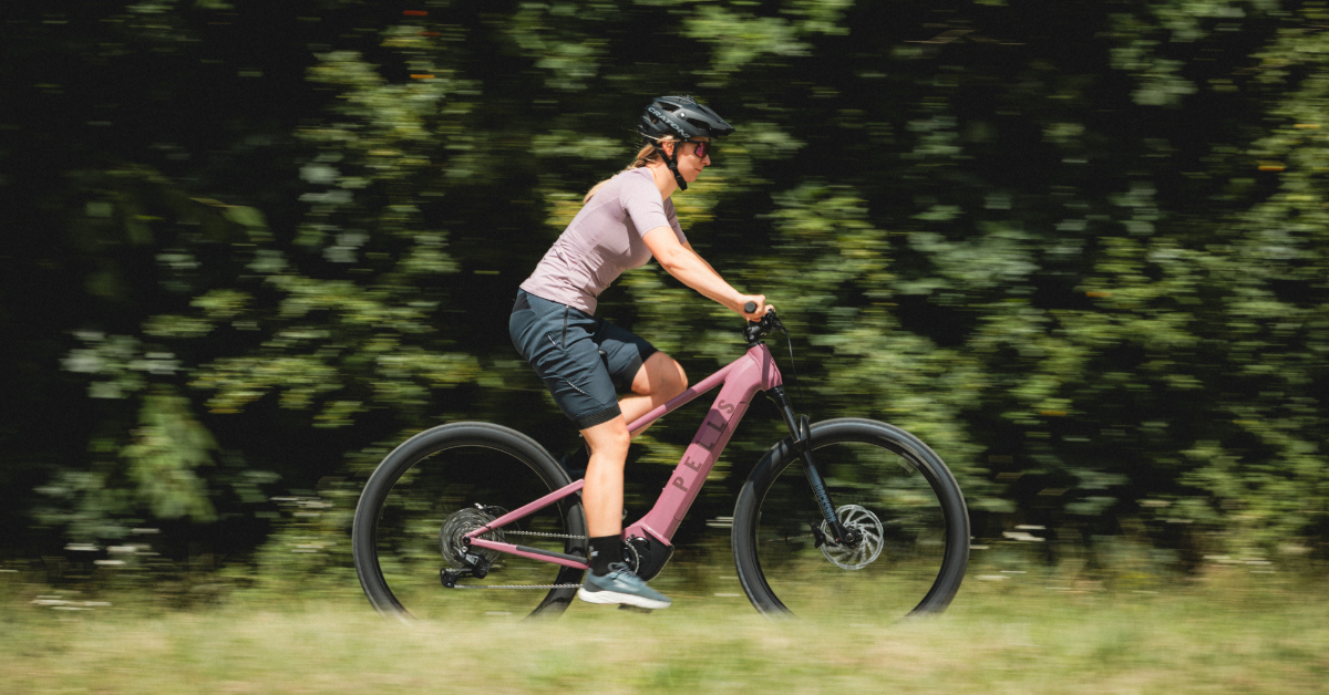Elektrobicykel Pells Thorr Panasonic